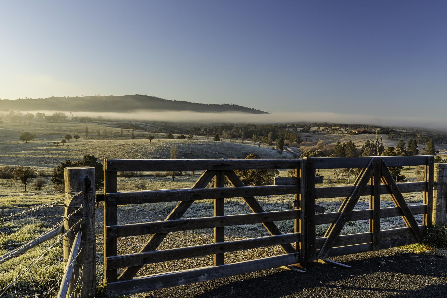 Farm gate at dawn on Australian grazing land, private landholder access.