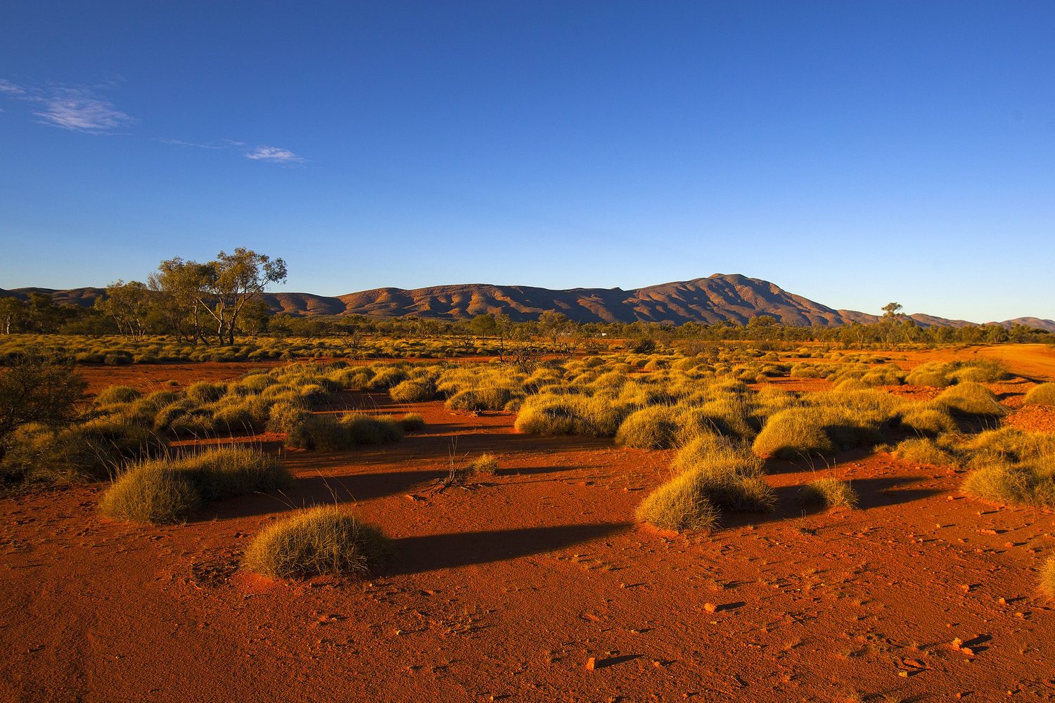 Australian outback landscape — Native Title country.